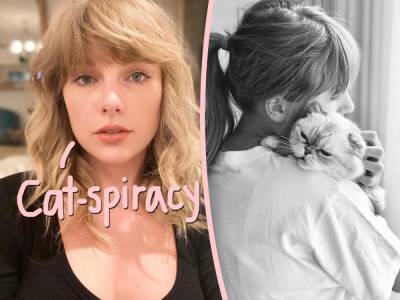 Taylor Swift Hilariously Responds To Fans Wondering Where Her Cat Meredith Is! - perezhilton.com
