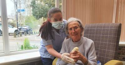 Lanarkshire care home takes in fluffy new residents - www.dailyrecord.co.uk