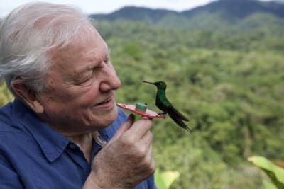 How David Attenborough Became Nature’s Voice of Reason (Column) - variety.com