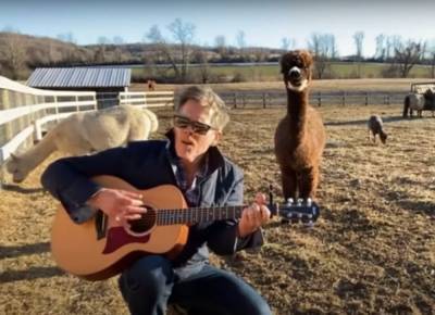 Kevin Bacon Covers A Backstreet Boys Classic While Surrounded By Goats & Alpacas - etcanada.com
