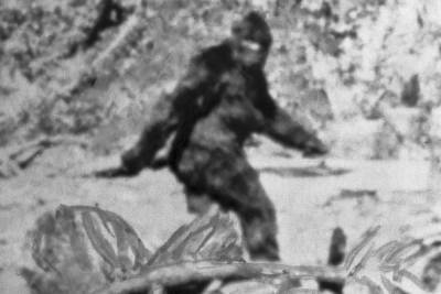 Is Bigfoot a wild pot farmer myth — or a cold-blooded serial killer? - nypost.com - California - Mexico