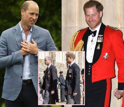 Prince William & Prince Harry During Prince Philip's Funeral -- How Did They Manage? - perezhilton.com