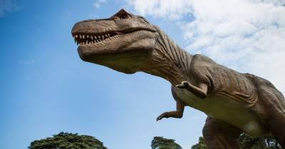 Dino Kingdom is coming to Manchester this summer - how to save money on tickets - www.manchestereveningnews.co.uk - Manchester