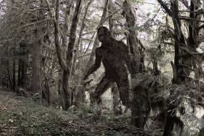 Why we’re obsessed with the Bigfoot legend at the center of Hulu’s ‘Sasquatch’ - nypost.com - California