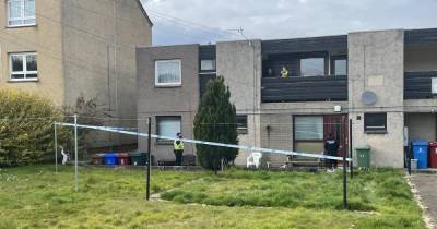 Second person arrested in connection with murder of Bo'ness man - www.dailyrecord.co.uk