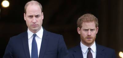 Here's Who Diffused the Tension Between Prince William and Prince Harry at Prince Philip's Funeral - www.justjared.com