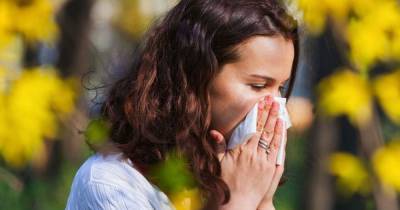 Scots hay fever misery as 'pollen bomb' set to hit this weekend as temperatures soar - www.dailyrecord.co.uk - Scotland