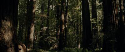 ‘Sasquatch’: Director Joshua Rofé On Bringing Together Bigfoot, Weed & Murder In Hulu Doc Series - deadline.com - county Pacific