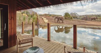 Safari lodges where you can watch elephants from your room now open in UK - www.manchestereveningnews.co.uk - Britain