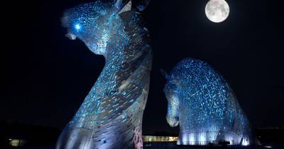 Famous Falkirk landmarks to light up blue as Strathcarron Hospice marks 40th birthday - www.dailyrecord.co.uk