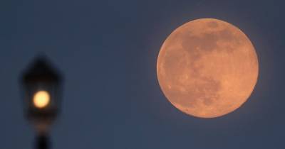 Pink supermoon April 2021: When to see biggest and brightest moon of the year - www.dailyrecord.co.uk - Scotland