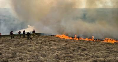 Two years after devastating Marden Moor fires people are STILL having BBQs on moors - www.manchestereveningnews.co.uk