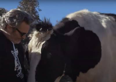 Joaquin Phoenix Celebrates Earth Day By Reuniting With Mother Cow & Calf He Rescued From A Slaughterhouse - etcanada.com - Los Angeles - city Sanctuary