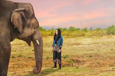 Cher on how she helped save ‘World’s Loneliest Elephant’ - nypost.com - Pakistan - Cambodia