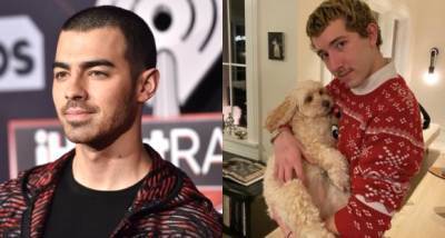 Joe Jonas REFUSED to call Frankie as ‘Bonus Jonas’ after his brother told him it was 'hurtful' - www.pinkvilla.com