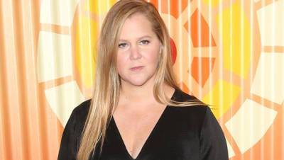Amy Schumer Reveals Her Plans For Baby No. 2 After Putting IVF Plans On Hold Amid Pandemic - hollywoodlife.com