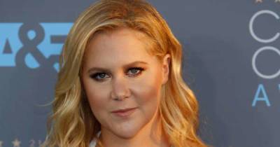 Amy Schumer 'trying to figure out' plans for another baby - www.msn.com