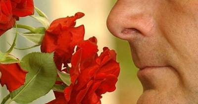 New advice for people who lose sense of smell after Covid - www.manchestereveningnews.co.uk