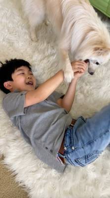 ‘Minari’ Child Actor Alan Kim Writes, Directs And Stars In Adorable Movie With His Dog Cream - etcanada.com