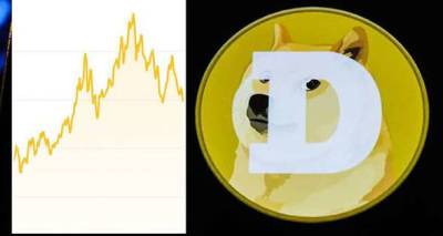 How high will dogecoin go? Experts pinpoint future for digital coin performance - www.msn.com