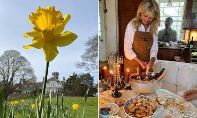 Christie Brinkley shares glimpse inside show-stopping garden at historic Hamptons home - hellomagazine.com