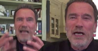 Arnold Schwarzenegger calls daughter Katherine 'expert gatekeeper' - www.msn.com