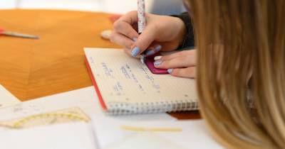 Eight ways to end the homework battle in your house - www.manchestereveningnews.co.uk