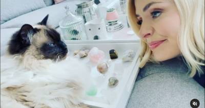 Holly Willoughby fans 'confused' over 'cute' Instagram post which gives glimpse into home - www.manchestereveningnews.co.uk