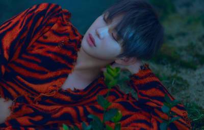 Kang Daniel reveals how the ‘Color’ trilogy represents his journey - www.nme.com