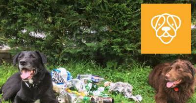 Scottish SPCA urges dog owners to pick up litter as part of 'Paws on Plastic' campaign - www.dailyrecord.co.uk - Scotland