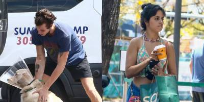 Shawn Mendes & Camila Cabello Pick Up Their Pup Tarzan From the Vet - www.justjared.com - Florida - city Havana