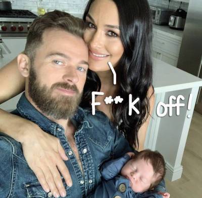 Haters Are PISSED At Nikki Bella For Traveling Without Her Son -- Here's Her Response! - perezhilton.com