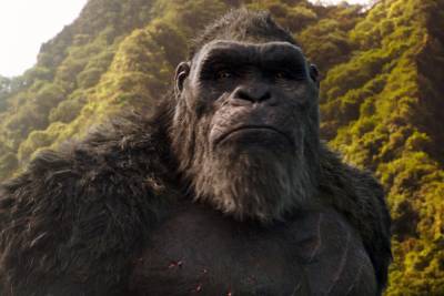 6 recurring thoughts I had while streaming Godzilla vs. Kong at home - www.hollywood.com