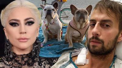 Lady Gaga's Alleged Dognappers Arrested: Singer's Father Reacts (Exclusive) - www.etonline.com