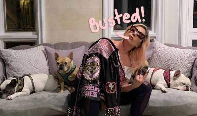 5 Arrested For Kidnapping Lady GaGa’s Dogs And Shooting Dog Walker -- Including Woman Who Found Them! - perezhilton.com - France