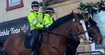 Cops on horseback patrol Falkirk street after 'thugs run riot' - www.dailyrecord.co.uk - Scotland