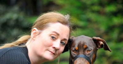 Dumfries woman credits loyal dog for saving her after a fall - www.dailyrecord.co.uk