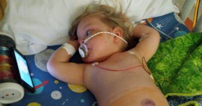 Toddler nearly died after eating seagull poo in garden - www.manchestereveningnews.co.uk