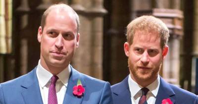Prince Harry and Prince William Haven’t ‘Buried the Hatchet’ Yet - www.usmagazine.com
