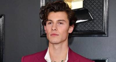 Shawn Mendes asks fans to raise funds for COVID 19 affected India: We can try our best to make a difference - www.pinkvilla.com - India