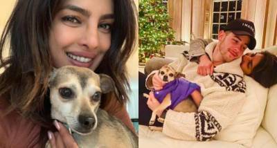 Priyanka Chopra reveals how her pup Diana became her biggest strength during her initial days in New York - www.pinkvilla.com - New York - USA