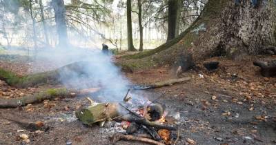 Idiot campers blasted as 'utterly irresponsible' after leaving burning fire in Scots forest - www.dailyrecord.co.uk - Scotland - county Woods