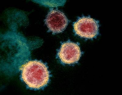 New Double Mutant Coronavirus Variant From India Found In California For First Time - deadline.com - California - India