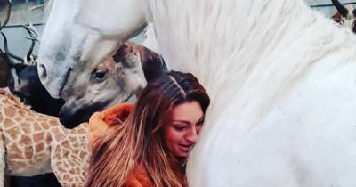 Luisa Zissman has dead horse Madrono stuffed by taxidermist as she breaks down over him 'coming home' - www.ok.co.uk