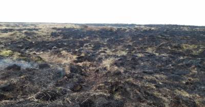 Animals killed and nests destroyed in 'devastating' wildfire on moors - www.manchestereveningnews.co.uk