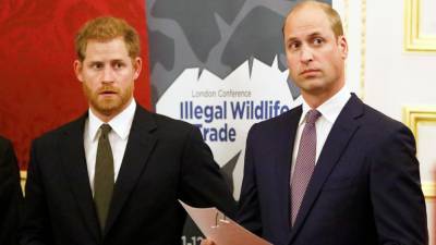 Prince William wants to reunite privately with Prince Harry before unveiling statue of Princess Diana: source - www.foxnews.com - California