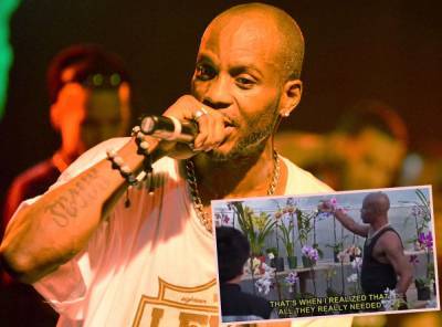 DMX's Orchid Love Goes Viral After His Death: 'All They Really Needed Was Time And Attention' - perezhilton.com