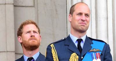 Prince William and Prince Harry’s Feud ‘Slowly Descended Into Something That Was Difficult,’ Pal Says - www.usmagazine.com