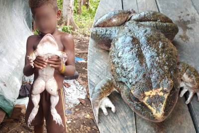 Villagers stunned to find giant frog as big as ‘a human baby’ - nypost.com