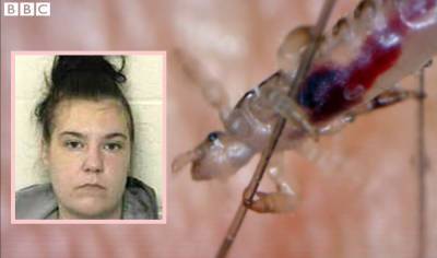 Woman Charged After Her Daughter Nearly DIED From Severe Lice Infestation - perezhilton.com - county Scott - Indiana